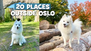 Molly The Spitz Guiding You Through 20 PLACES Outside Oslo, Norway by MollytheSpitz 2,145 views 3 years ago 12 minutes, 46 seconds