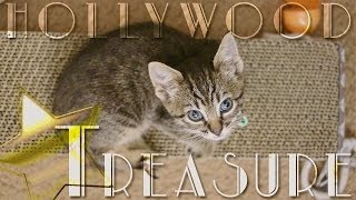 A Hollywood Treasure