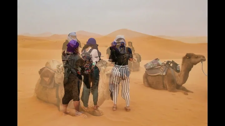 2022 May "Camels into the Sahara"