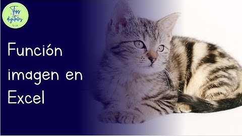 Función imagen en Excel