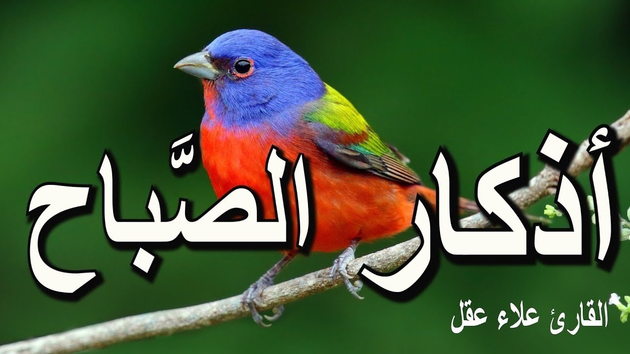 اذكار الصباح بصوت مريح للقارئ الشيخ علاء عقل Morning prayers 