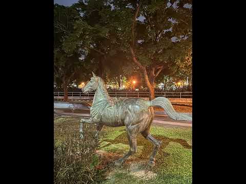 不是每天都閃閃發光,但每天都努力閃一下~???? #新營美術園區#台南旅遊 #nature #心靈療癒 #景區