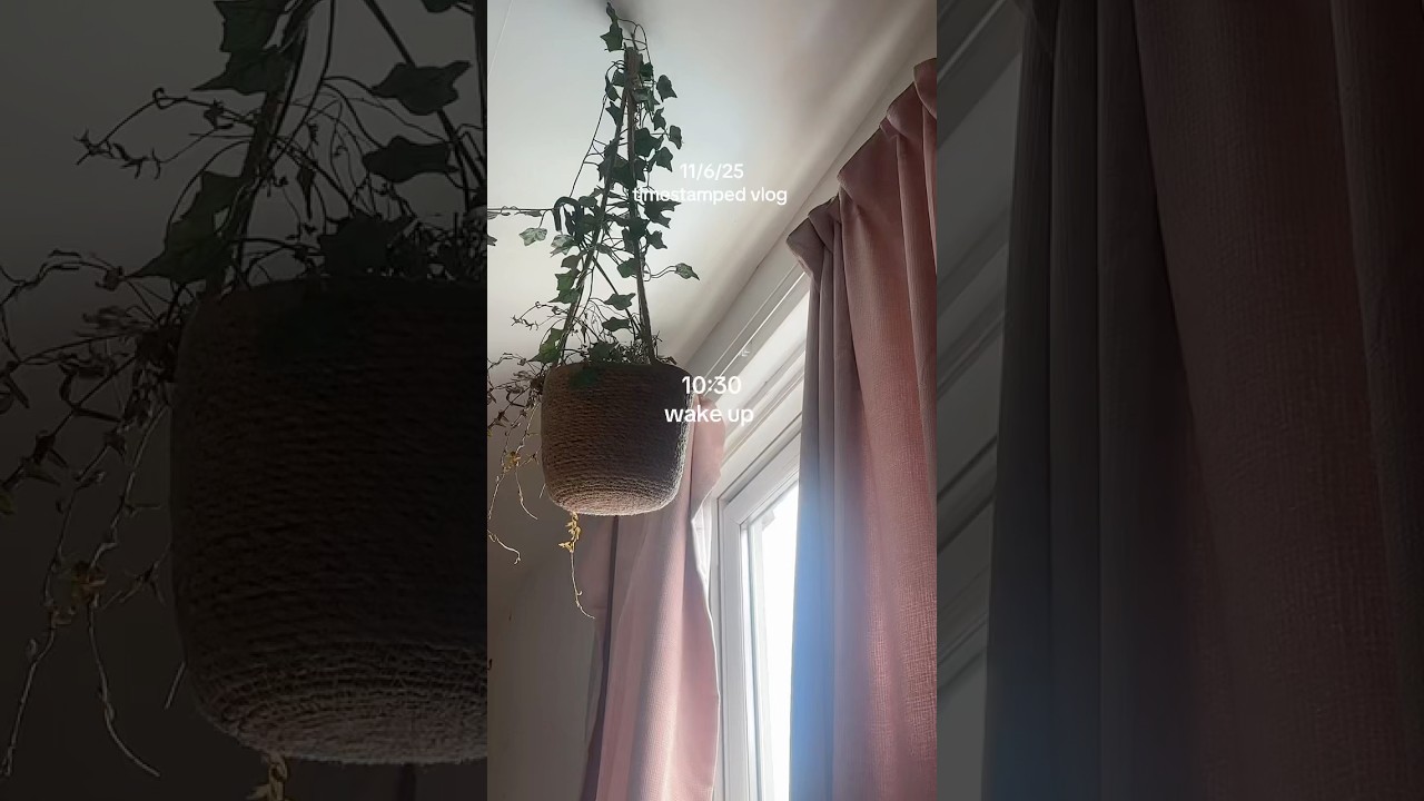 daily vlog #vlog #productivity #vlogs #grwm #cosy  #dayinmylife #5amproductivedayinmylife