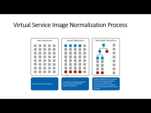 Service Virtualization Terms