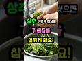 경고! 상추 이렇게 씻으면 큰일나요! 기생충 농약 먹게 돼요! #상추 #상추요리 #상추기생충 #기생충