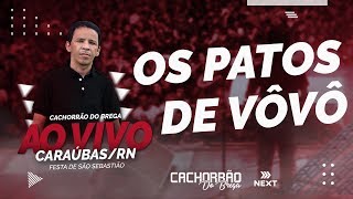 Os patos de vôvô - DVD CACHORÃO DO BREGA - AO VIVO EM CARAÚBAS/RN