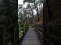 #구기(계곡)브릿지 #Gugi Valley Bridge