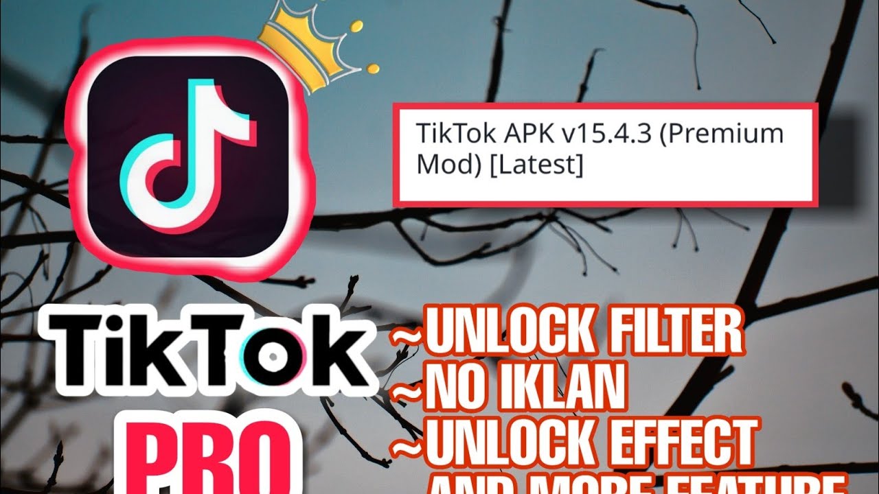 site de apk premium｜Pesquisa do TikTok