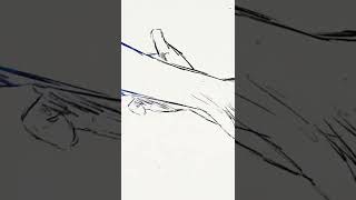 Bear’s Den - Shadows (Teaser)