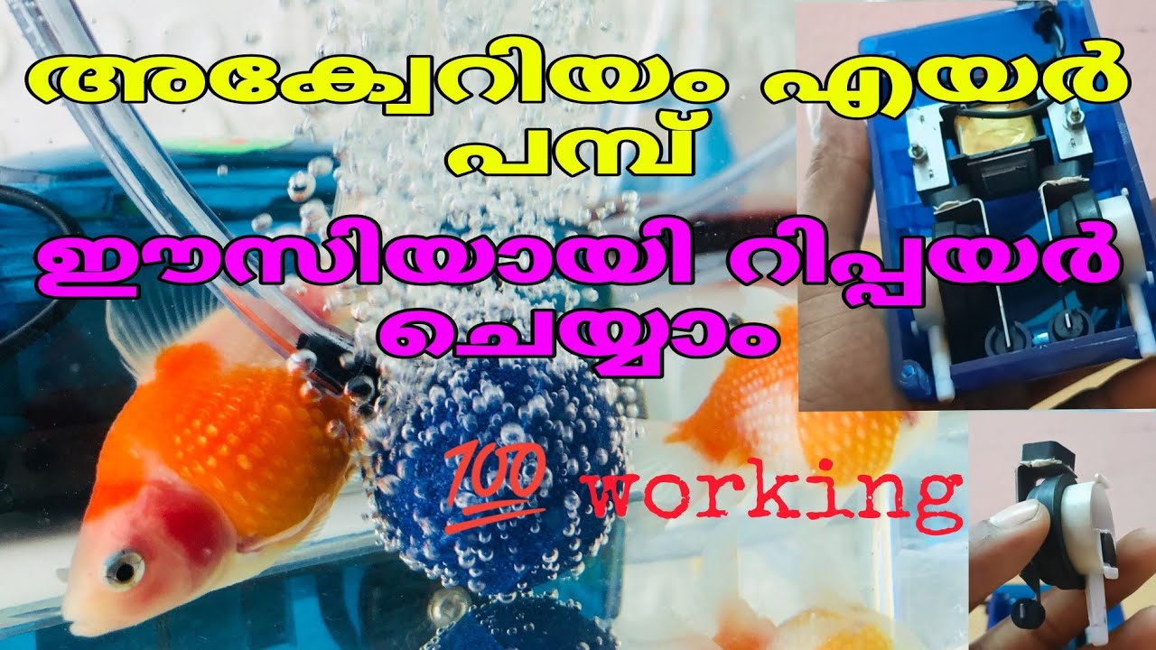 How to repair aquarium air pump at home Malayalam How to repair air