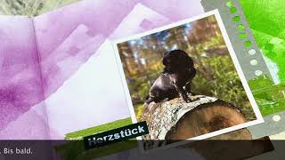 Junk journal #SMALLS Herzstück @AndreaKidman