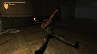 Fallout NV: Kill Flash