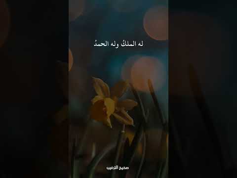 قال النبي ﷺ من قال لا إله إلا الله والله أكبر لا إله إلا الله وحده لا إله إلا الله ولا شريك له