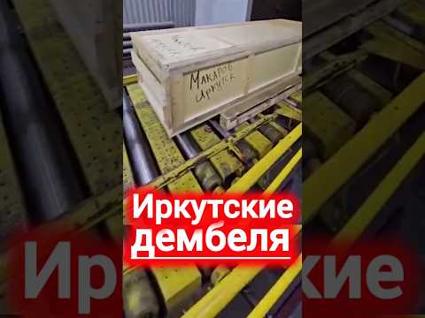 ИРКУТСКИЕ ДЕМБЕЛЯ КАТЯТСЯ ДОМОЙ #сегодня #новости #россия #рф #украина #вести #тв #сми #факт #shorts
