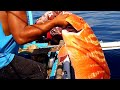 2700 ang Halaga Ng Isang bato Lang | Grabe sunod-sunod ang Kain Ng mga Mamahaling Isda