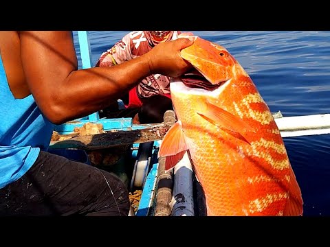 Video: Ano Ang Halaga Ng Isda