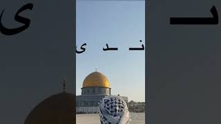 أجمل أغاني فلسطينية #الجزائر #shortvideo #العراق #الزعماء  #فلسطين #ليبيا #المغرب #السعودية #اليمن