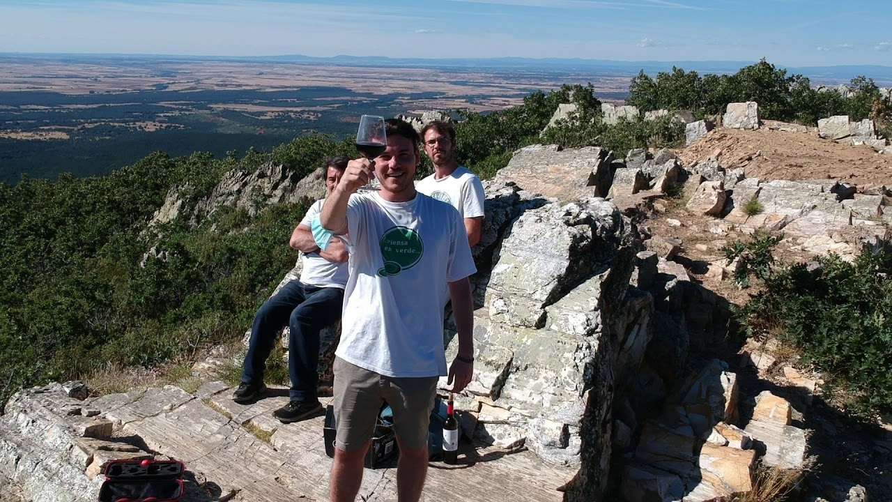 Ribera del Duero from the air