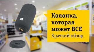 JBL Link Portable Обзор и отзыв от НОУ-ХАУ.