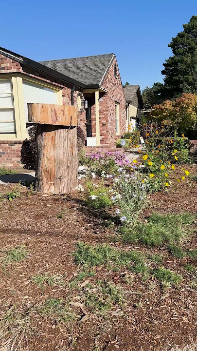Honeybee Swarm Habitat Transforming Neighborhoods