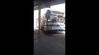 Queens, New York - Q41 Bus - Full Route - Hybrid Electric Bus Orion VII HEV