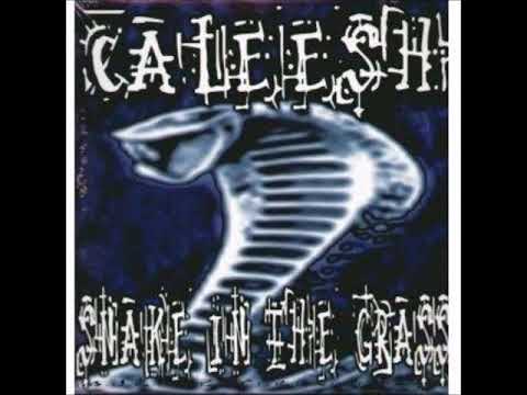 Caleesh — Caleesh - Snake In The Grass
