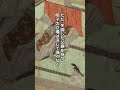1分でわかる源明子のヤバイエピソード#shprts