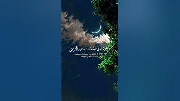ارح سمعك و قلبك 🤍 قرآن كريم 🤍 اكتب شيئا تؤجر عليه 🤍
