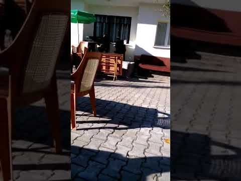 H ibrahim çeven den ferdi tayfur şarkısı  neyleyim sen yoksan eyer guzel olmus arkadaşlar