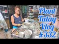 Plant tatay vlog  332 cns terrace garden balik alindog 2024  part 5 almost doneon day 4