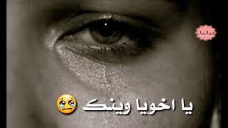 حالات واتس آب شعر عراقي عن موت الأخ😢 يبكي الحجر