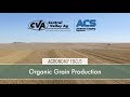 Organic Grain Production