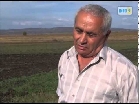 გურჯაანის გამგებელი