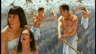 The 10 Plagues of Egypt - When God Stepped In To Fight - (Bible Story Explained)