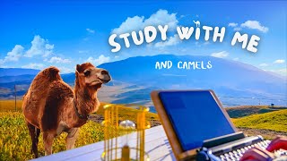 🐪 Camel Ranch Magic: Study With Me | Lofi Focus Music 🎶 Maximize Productivity&Success✨50/10 Pomodoro