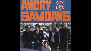 Video thumbnail of "Angry Samoans ‎– STP Not LSD (Full album 1988)"