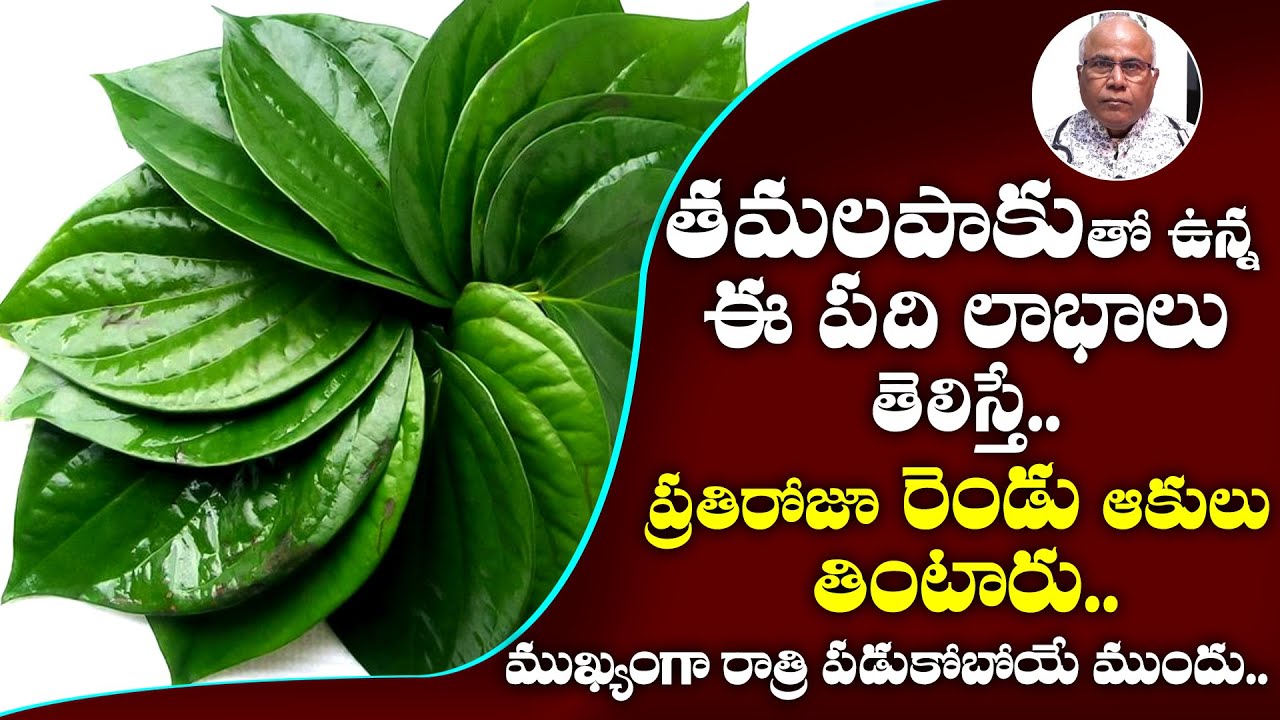 Dr C L Venkat Rao About Benefits Of Betel Leaves In Telugu | Sleeping Problems | TX TV