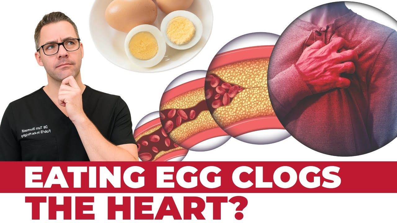Можно ли употреблять яйца ежедневно? [Информация о здоровье сердца и артерий]