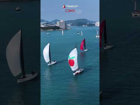 19th YINSUNSINCUP [DAY3] Highlight