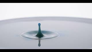 2603666 hd 2048 1024 24fps