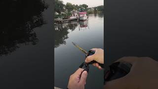 Pesca de barranco em Bertioga | Pescador Adriano captura de xareu #bertioga #pescaria #fisherman