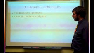 Oceanography #flipclass for 10-11 Marine Sediments   Biogenous Sediment #oceHWHL