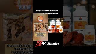 A Legerősebb Ganoderma - Dxn Rg