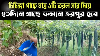 Qolni tirsagigacha mushuk ichiga chuqur soling