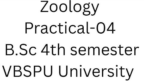 Zoology practical record file BSc 4 semester VBSPU University