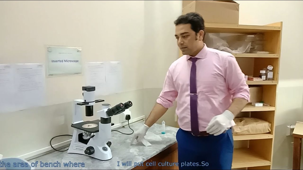 Cell Culture and Cell Revival video YouTube