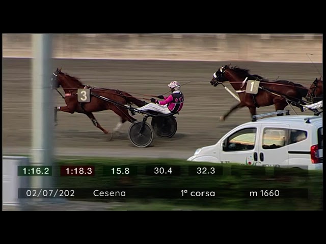 2024 07 02 | Corsa 1 | Metri 1660 | Premio Summertrade Catering & Banqueting