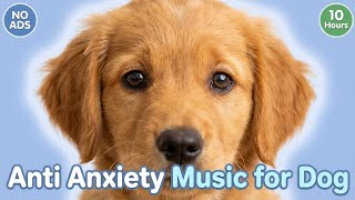 10 Hours Calming Music for Dogs 🐶 Stop Barking, Anxiety Relief & Deep Sleep Dog Music