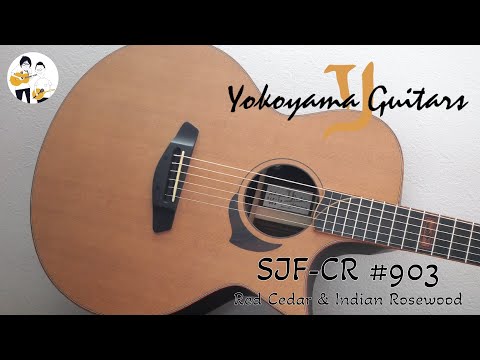 Yokoyama Guitars AN-AMR hqdefault.jpg