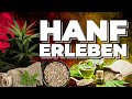 🥦HANF RETTET DIE WELT🥦| Cannabis erleben im Hanf Museum Berlin | Fast Buds Talks @HanfMuseumBerlin